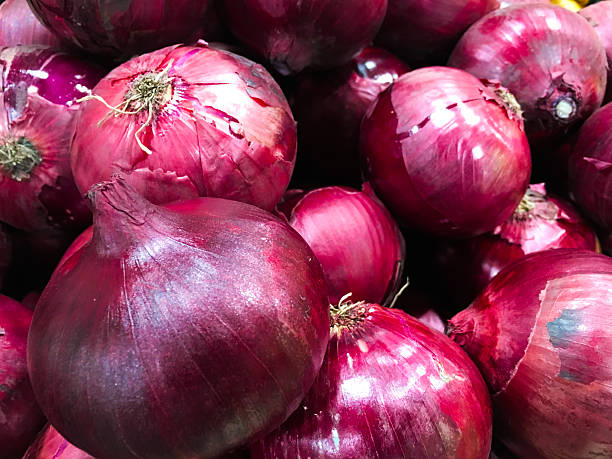 istock Collection of Red Onion 507421916