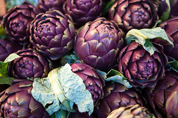 artichaut, unblown fleur - purple artichoke photos et images de collection