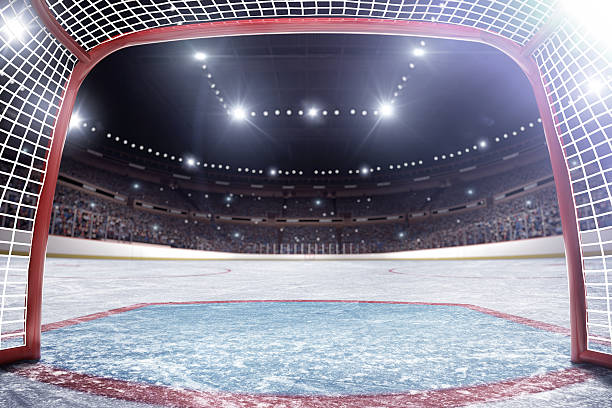 istock Hockey arena 507428513
