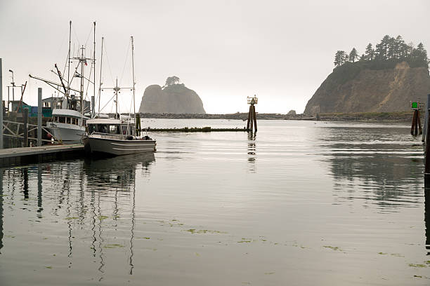 istock Boats Sea Bluffs Pacific Ocean Marina 507428639