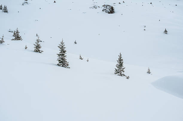 istock Winter Landscape with Snow and Trees 507432999