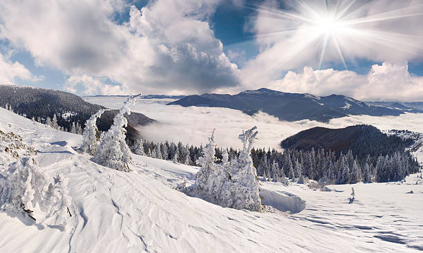 istock Beautiful winter landscape in the mountains 507433305