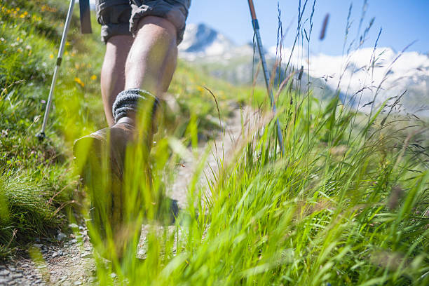 Hikers on mountain trail Hikers on mountain trail, Close-up. appenzell stock pictures, royalty-free photos & images