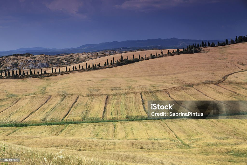 Creta senesi, hills Plano aproximado em Val D'Orcia, Toscana. - Royalty-free Agricultura Foto de stock