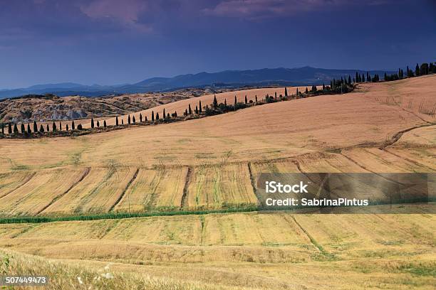 Creta Senesi Hills Plano Aproximado Em Val Dorcia Toscana - Fotografias de stock e mais imagens de Agricultura