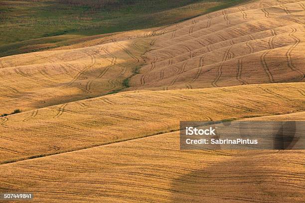 Crete Senesi Hills Cerca En Val Dorcia Toscana Foto de stock y más banco de imágenes de Agricultura - Agricultura, Aire libre, Ajardinado