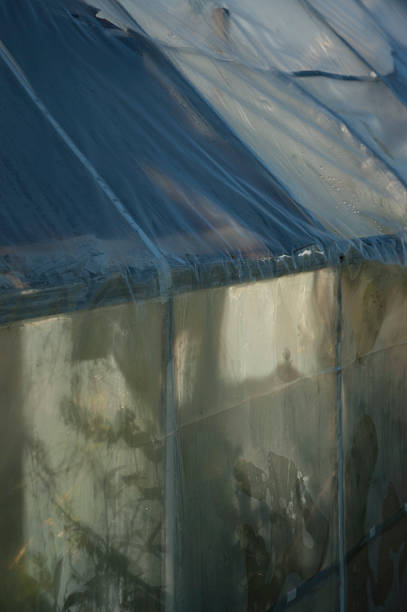 istock Plastic greenhouse in allotment 507450759