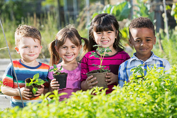 Multi-ethnic group of children (3 to 5 years) at community garden, holding seedlings.
