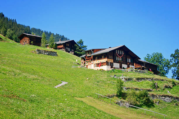 istock Houses at Gimmelwald, Switzerland 507452863