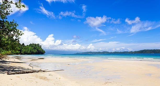 istock West Papua Province Beach Indonesia 507453327