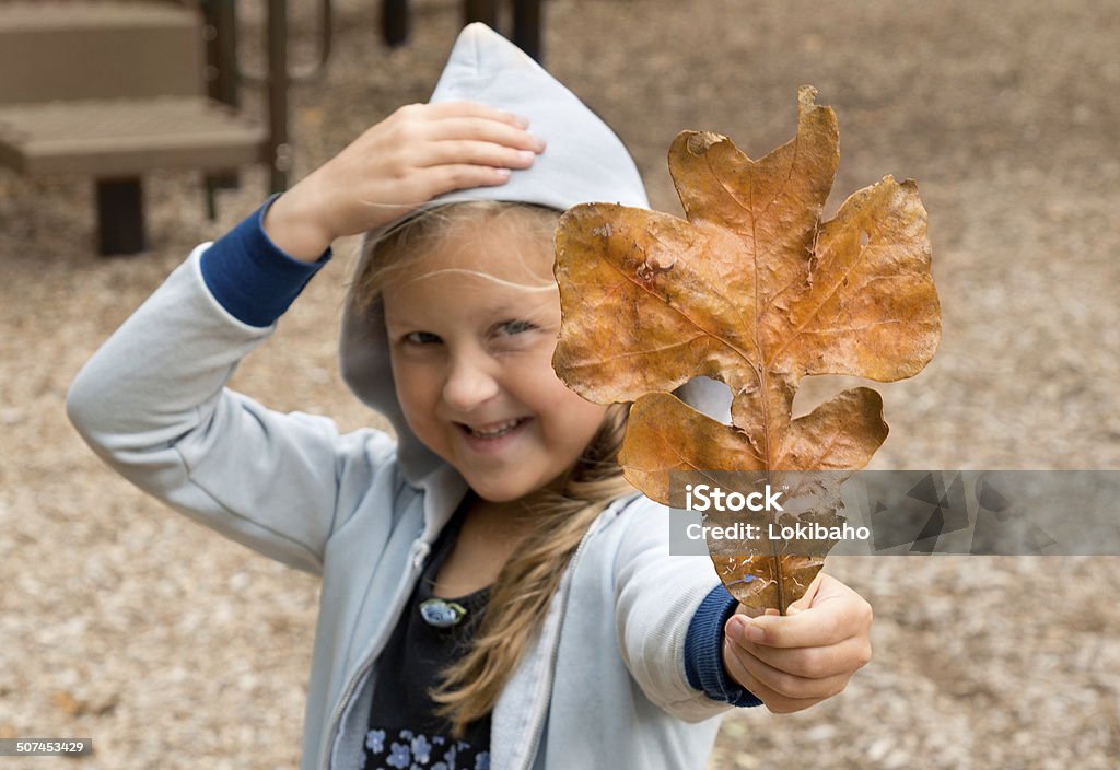 Der Herbst ist da - Lizenzfrei Ankündigung Stock-Foto