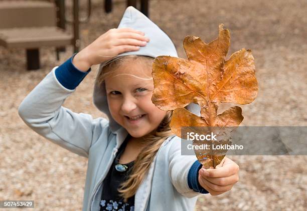 Der Herbst Ist Da Stockfoto und mehr Bilder von Ankündigung - Ankündigung, Blatt - Pflanzenbestandteile, Eichenblatt