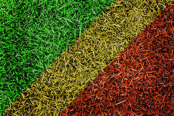 istock Republic of The Congo Flag color grass texture background 507453687