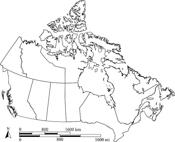 ilustrações de stock, clip art, desenhos animados e ícones de canadá mapa de contorno de vetor com escalas em um projeto em branco - alberta map canada province