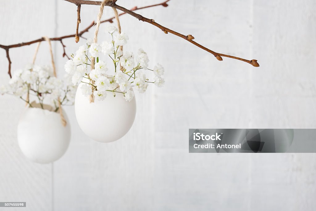 Bunch of of white  baby's breath flowers  in  egg shell Bunch of of white  baby's breath flowers (gypsophila) in  egg shell on the white wooden plank.  Shallow depth of field,  focus on near flowers. Easter concept Easter Stock Photo