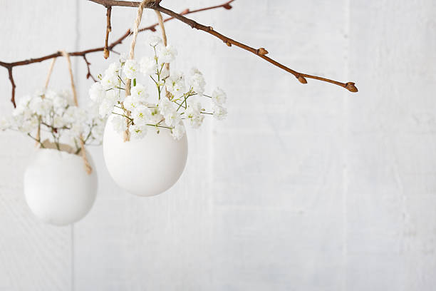 cacho de branco flores gypsophila em casca de ovo - cut flowers white small still life imagens e fotografias de stock