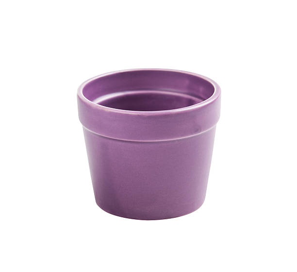 istock Purple Flower Pot Isolated 507456752