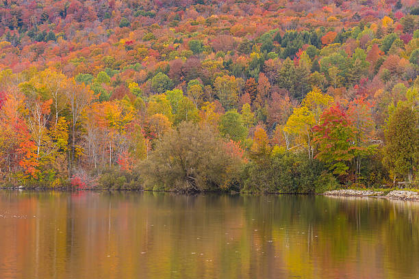 istock Autumn foliage and reflection in Vermont, Elmore state park 507457856
