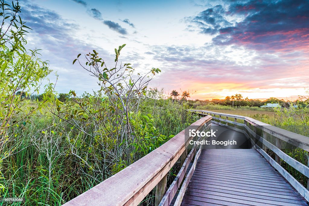 Strandpromenade Weg auf Anihinga Wanderweg in den Everglades Nationalen Park VEREINIGTE STAATEN - Lizenzfrei Florida - USA Stock-Foto