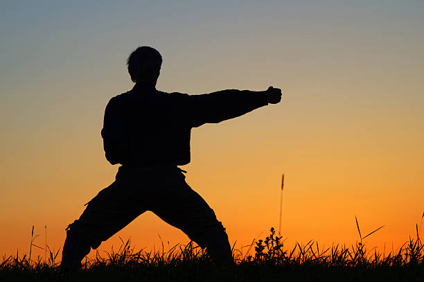 istock Man practicing karate on the grassy horizon after sunset. 507478016