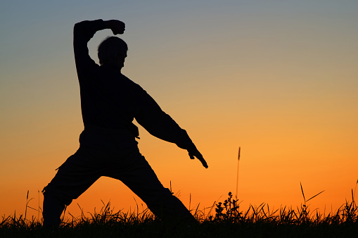 Man practicing karate on the grassy horizon after sunset. Art of self-defense. Silhouette against a bright orange sky.