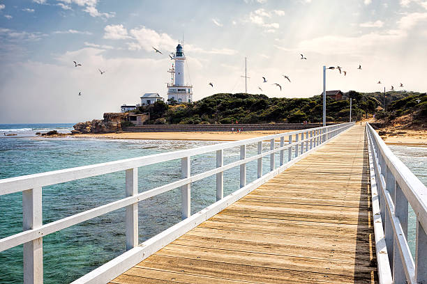 pkt lonsdale latarnia morska i nabrzeży z mewy w przestrzeni powietrznej - manly beach sydney australia australia beach zdjęcia i obrazy z banku zdjęć