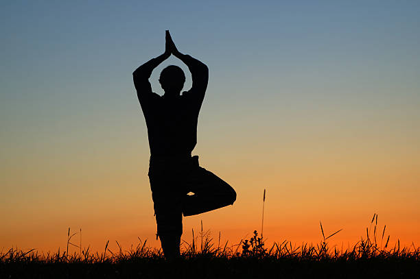 istock Silhouette of a man practicing yoga in Vrikshasana after sunset 507478770