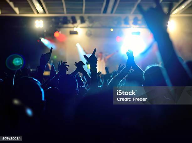 Concert Crowd Stock Photo - Download Image Now - Performance Group, Punk - Person, Heavy Metal