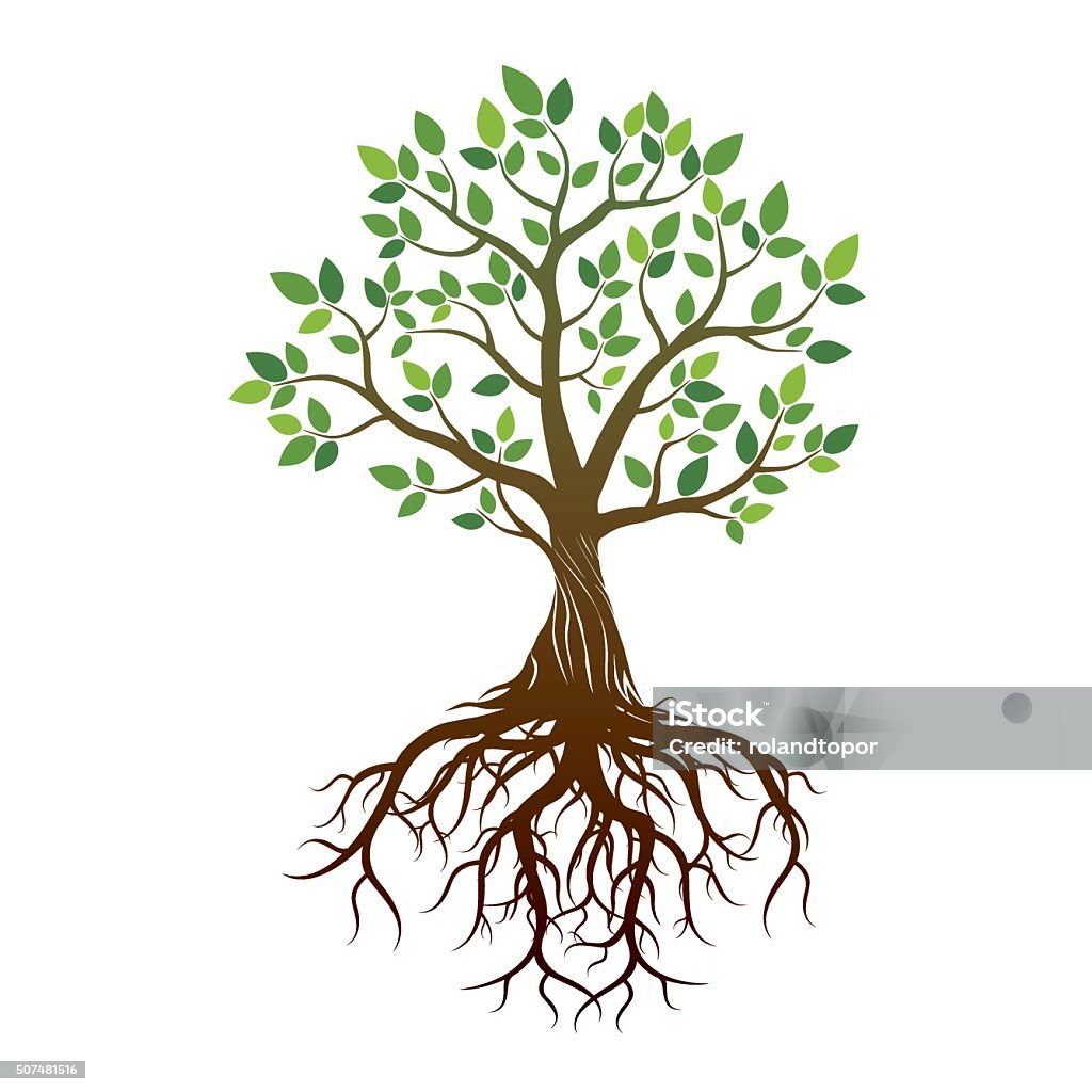 Color Tree and Roots. Vector Illustration. Root stock vector