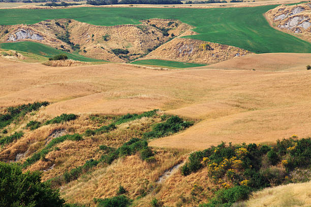 istock Crete senesi, hills close up in Val D'Orcia, Tuscany. 507492895