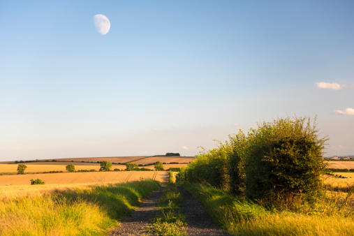An early evening moon rises over field on the Yorkshire Wolds, England
