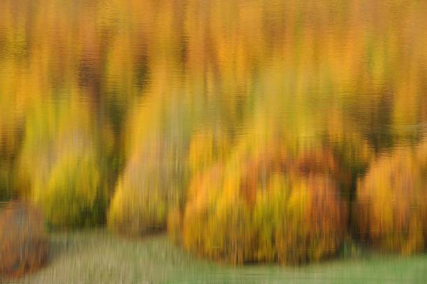 istock Nature and serenity Backgrounds 507493588