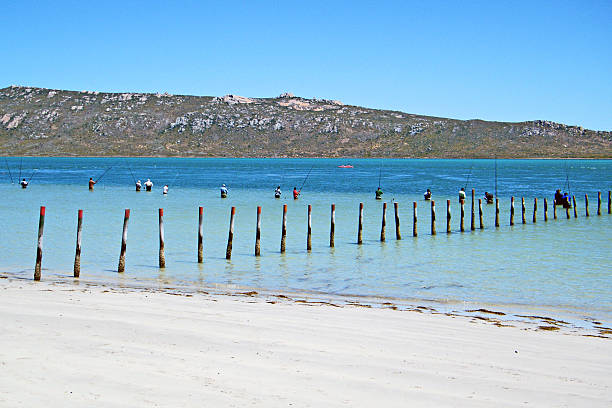 Langebaan Fishing