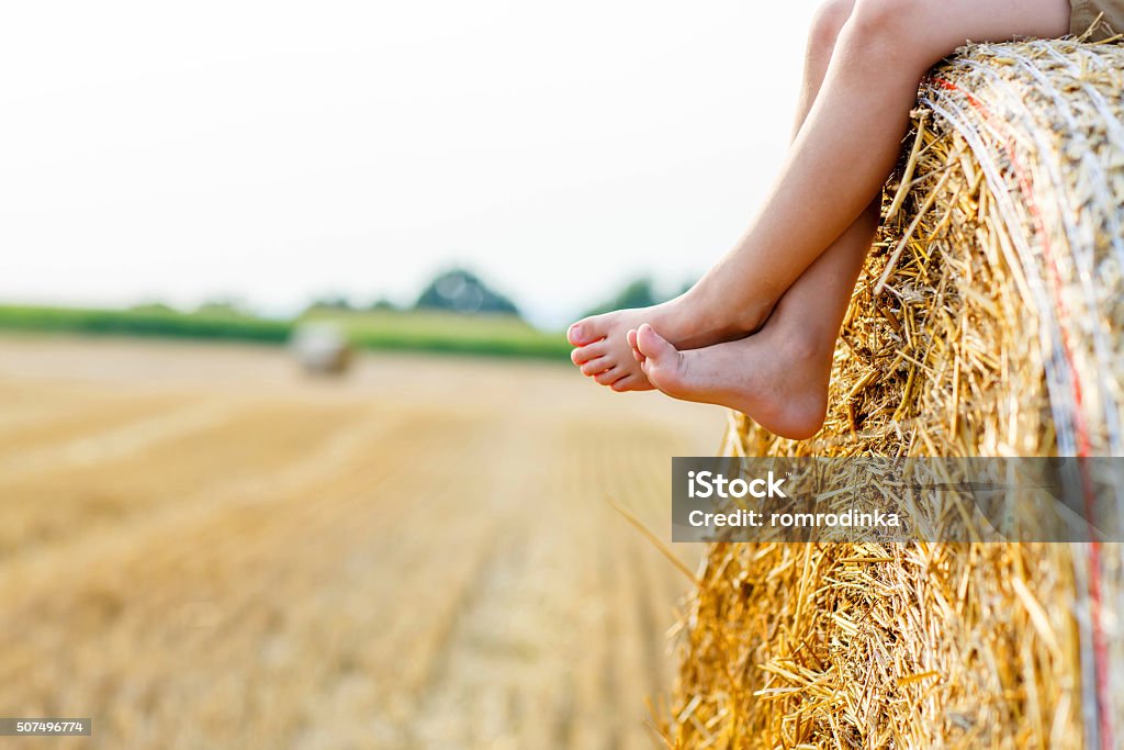 Kleines Kind junge sitzt auf hay bale im Sommer - Lizenzfrei Agrarbetrieb Stock-Foto