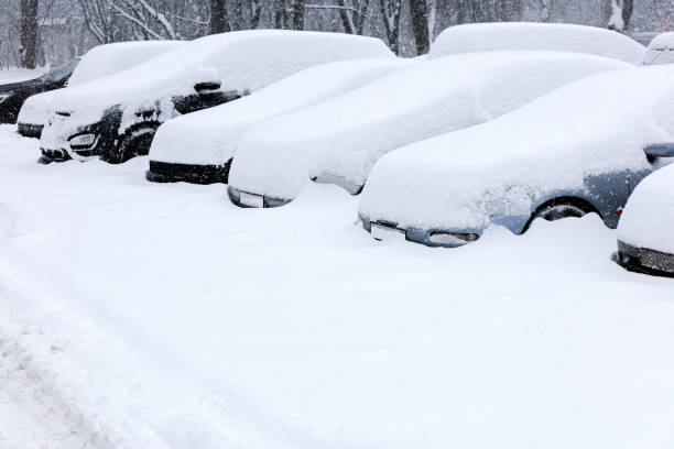 istock cars covered with fresh white snow 507498588
