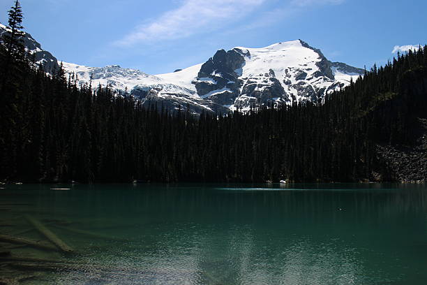 istock Trout Fishing lake 507498714