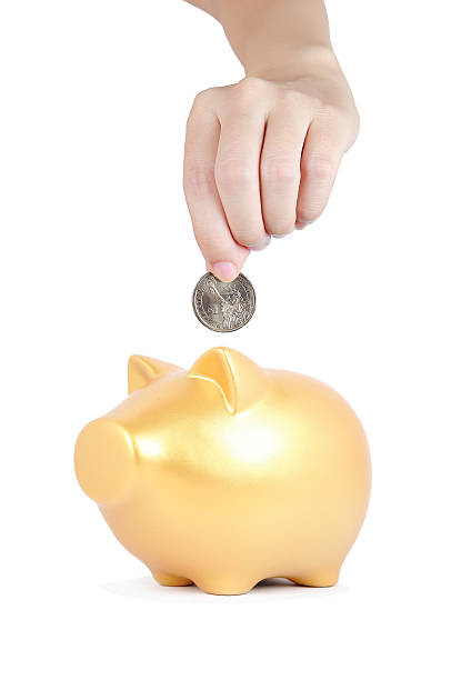 istock Gold Piggy Bank 507500172