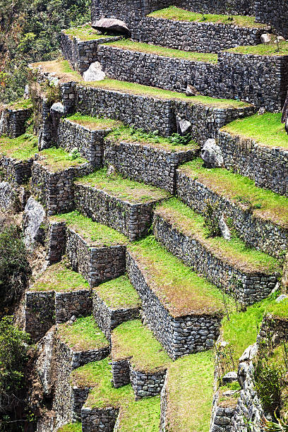 istock terraces on the mountain 507500218