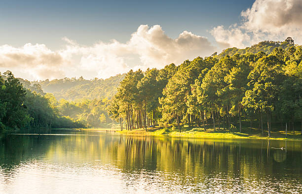 istock Lake of Pang-Ong 507500390