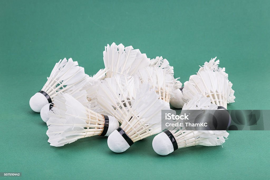 Heaps of used worned out badminton shuttlecock on green court Heaps of used and worned out badminton shuttlecock on green mat PVC court Activity Stock Photo