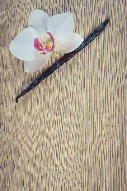 istock Blooming orchid and fragrant vanilla sticks, copy space for text 507511426