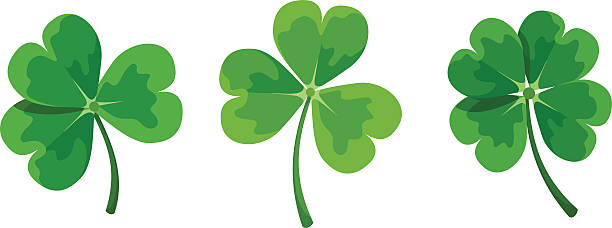 illustrations, cliparts, dessins animés et icônes de st. patrick trèfles (shamrock). illustration de vecteur. - en forme de trefle a quatre feuilles