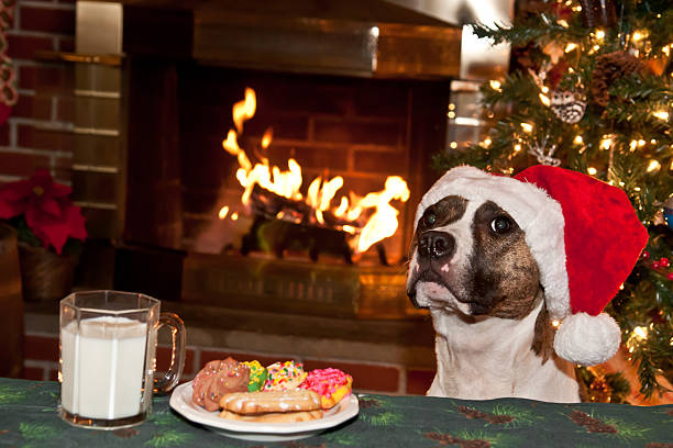 istock Dog Steals Cookies 507511475