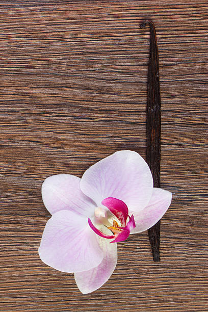 istock Blooming orchid and fragrant vanilla sticks 507511612