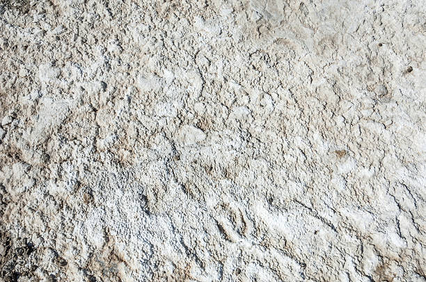 istock texture of dry land 507512174