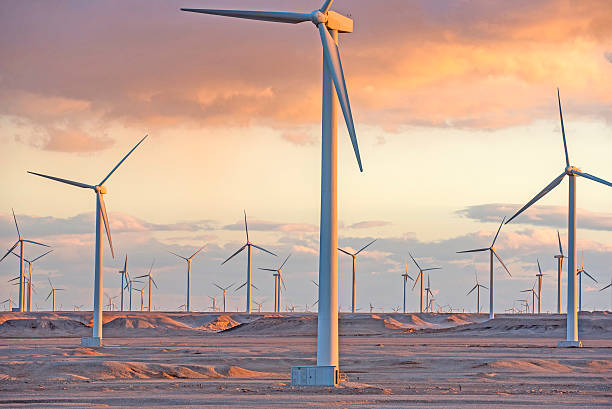 Wind farm at sunset moment, Egypt stock photo