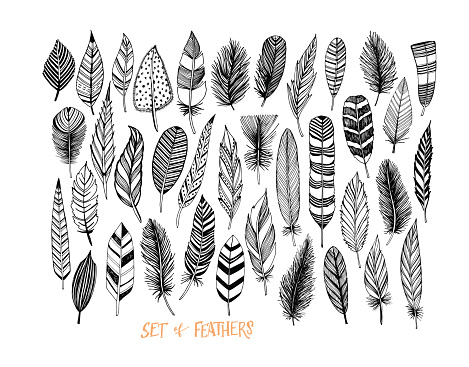 Ink illustration. Isolated on white background. Set of decorative animals feathers. Hand drawn vector art.