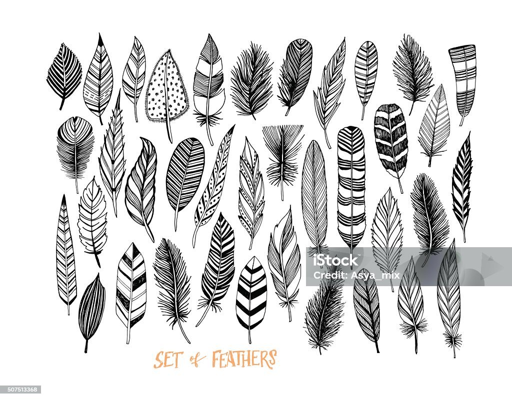 Collection of hand drawn feather. Ink illustration. Isolated on white background. Set of decorative animals feathers. Hand drawn vector art. Feather stock vector