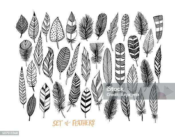 Collection Of Hand Drawn Feather Stock Illustration - Download Image Now - Feather, Pattern, Drawing - Art Product