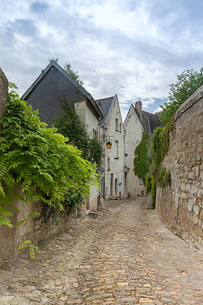 istock Chinon alley 507517063